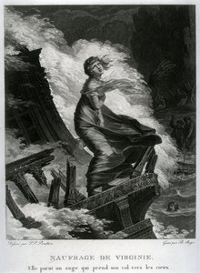 Shipwreck of Virginie, illustration for 
